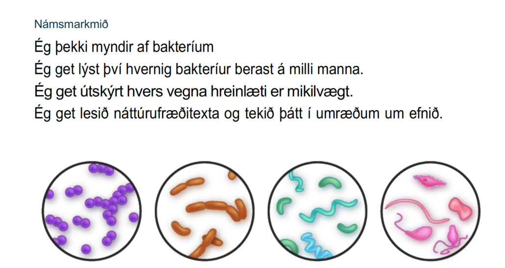 Mynd af námsmarkmiðum